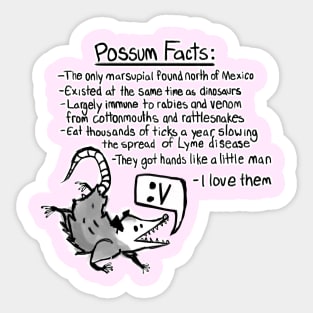 Possum facts Sticker